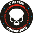Logo BSC Combatives